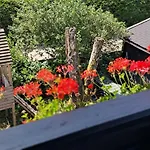 Διαμέρισμα Apartmenthaus Hinterer Bad Goisern