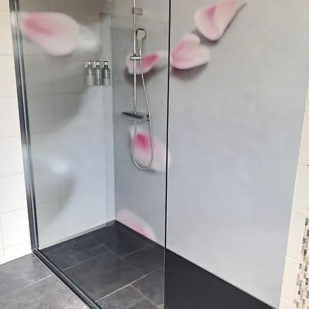 公寓 哈奈特尔公寓酒店 巴德哥依斯恩