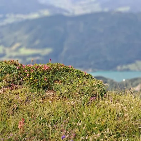 Apartmenthaus Hinterer