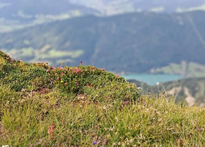 Apartmenthaus Hinterer